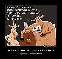 ТОЛЕРАНТНОСТЬ   САМАЯ  ГЛАВНАЯ ценность   любого козла