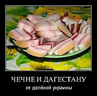ЧЕЧНЕ И ДАГЕСТАНУ от далёкой украины