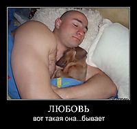 ЛЮБОВЬ вот такая она...бывает