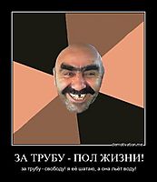 ЗА ТРУБУ - ПОЛ ЖИЗНИ! за трубу - свободу! я её шатаю, а она льёт воду!