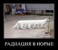РАДИАЦИЯ В НОРМЕ 
