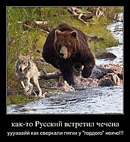 как-то Русский встретил чечена уууааайй как сверкали пятки у "гордого" нохчо!!!