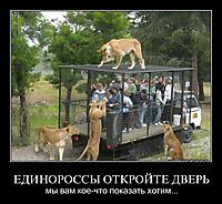 ЕДИНОРОССЫ ОТКРОЙТЕ ДВЕРЬ мы вам кое-что показать хотим...