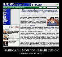 НАПИСАЛИ, МОЛ ПОГИБ ВАШ СЫНОК с дерева упал на топор.