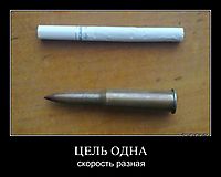 ЦЕЛЬ ОДНА скорость разная