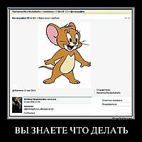 ВЫ ЗНАЕТЕ ЧТО ДЕЛАТЬ 