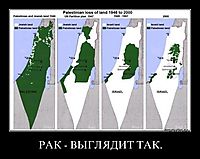 РАК - ВЫГЛЯДИТ ТАК. 