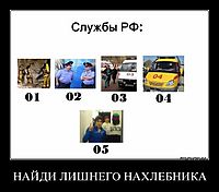 НАЙДИ ЛИШНЕГО НАХЛЕБНИКА 