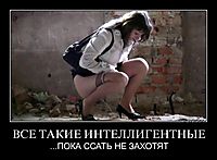 ВСЕ ТАКИЕ ИНТЕЛЛИГЕНТНЫЕ ...ПОКА ССАТЬ НЕ ЗАХОТЯТ