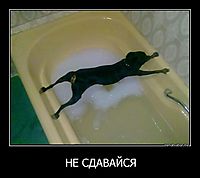 НЕ СДАВАЙСЯ 