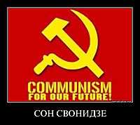 СОН СВОНИДЗЕ 