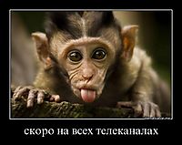 скоро на всех телеканалах 