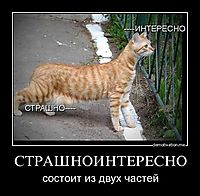 СТРАШНОИНТЕРЕСНО состоит из двух частей