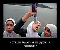 есть ли бараны на других планетах?