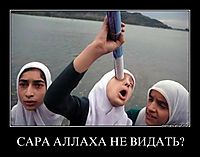 САРА АЛЛАХА НЕ ВИДАТЬ? 