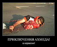 ПРИКЛЮЧЕНИЯ АХМЕДА! в норвегии!