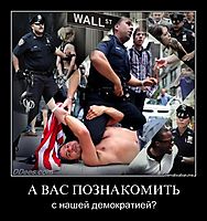 А ВАС ПОЗНАКОМИТЬ с нашей демократией?