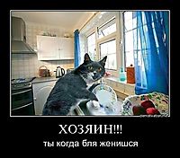 ХОЗЯИН!!! ты когда бля женишся
