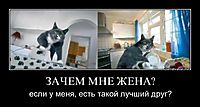 ЗАЧЕМ МНЕ ЖЕНА? если у меня, есть такой лучший друг?