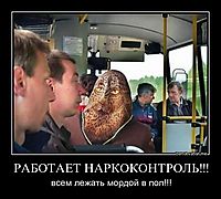 РАБОТАЕТ НАРКОКОНТРОЛЬ!!! 