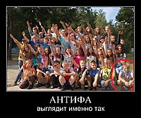 АНТИФА 