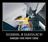 ХОЗЯИН, Я ЗАИПАЛСЯ! ЗАВЕДИ УЖЕ ЖЕНУ СЕБЕ
