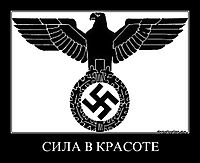 СИЛА В КРАСОТЕ 
