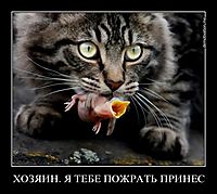 ХОЗЯИН. Я ТЕБЕ ПОЖРАТЬ ПРИНЕС 