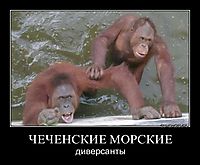 ЧЕЧЕНСКИЕ МОРСКИЕ диверсанты