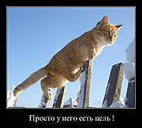 Просто у него есть цель ! 