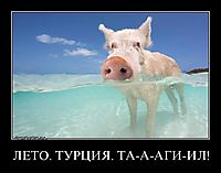 ЛЕТО. ТУРЦИЯ. ТА-А-АГИ-ИЛ! 