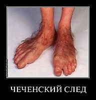 ЧЕЧЕНСКИЙ СЛЕД 