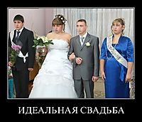ИДЕАЛЬНАЯ СВАДЬБА