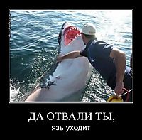ДА ОТВАЛИ ТЫ, язь уходит