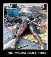 ПРИКЛЮЧЕНИЯ ЯНКИ В ЛИВИИ 