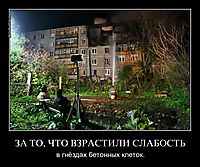 ЗА ТО, ЧТО ВЗРАСТИЛИ СЛАБОСТЬ в гнёздах бетонных клеток.