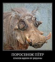 ПОРОСЕНОК ПЁТР спился вдали от родины