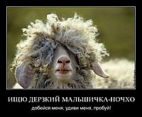 ИЩЮ ДЕРЗКИЙ МАЛЬШИЧКА-НОЧХО добейся меня, удиви меня, пробуй!