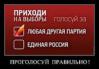ПРОГОЛОСУЙ  ПРАВИЛЬНО ! 