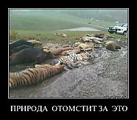 ПРИРОДА  ОТОМСТИТ ЗА  ЭТО 