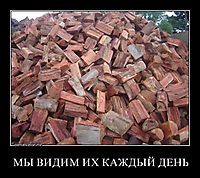 МЫ ВИДИМ ИХ КАЖДЫЙ ДЕНЬ 