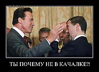 ТЫ ПОЧЕМУ НЕ В КАЧАЛКЕ?! 