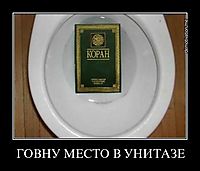 ГОВНУ МЕСТО В УНИТАЗЕ 
