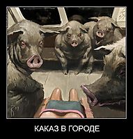 КАКАЗ В ГОРОДЕ 