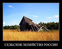 СЕЛЬСКОЕ ХОЗЯЙСТВО РОССИИ 