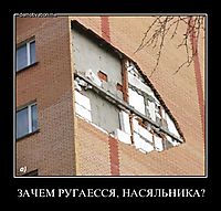 ЗАЧЕМ РУГАЕССЯ, НАСЯЛЬНИКА? 