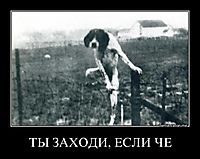 ТЫ ЗАХОДИ, ЕСЛИ ЧЕ 