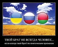 ТВОЙ БРАТ НЕ ВСЕГДА ЧЕЛОВЕК... но он всегда твой брат! по генетическим признакам