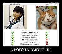 А КОГО ТЫ ВЫБЕРЕШЬ? 