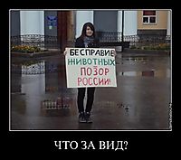 ЧТО ЗА ВИД? 